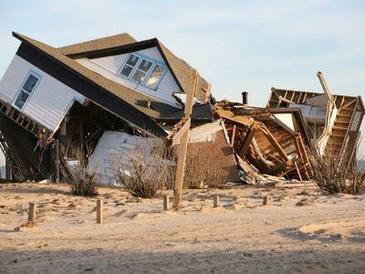 Professional mold removal services in North Fort Myers